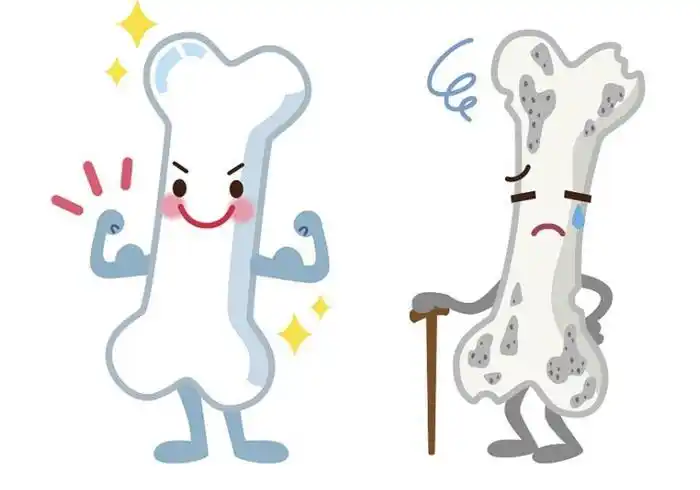 骨骼健康和一辈子的生活幸福息息相关