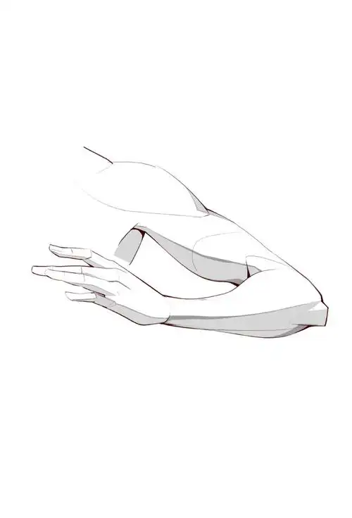 手臂肌肉结构怎么画?