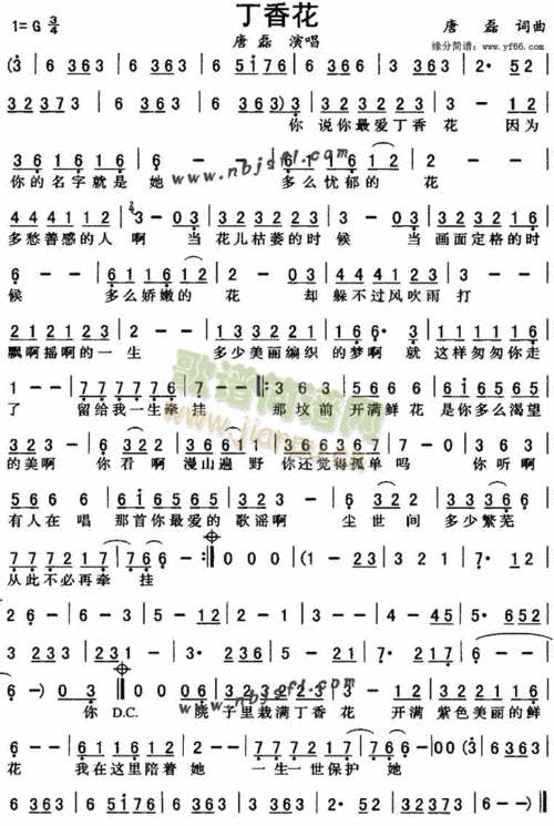 丁香花 歌谱简谱网