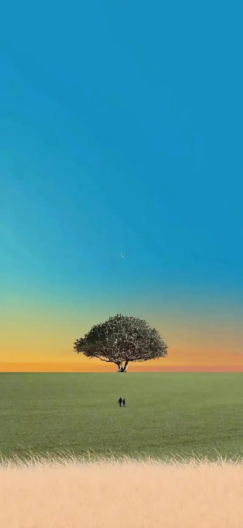 8k超清全面屏风景壁纸,明月如霜,清景无垠,沉浸到极致的美 - 抖音