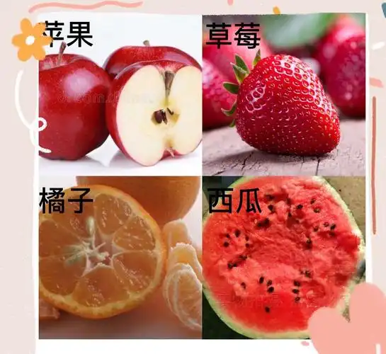 认识了这么多的种子,你最喜欢什么种子呢? 种下一颗属于自己的籽吧