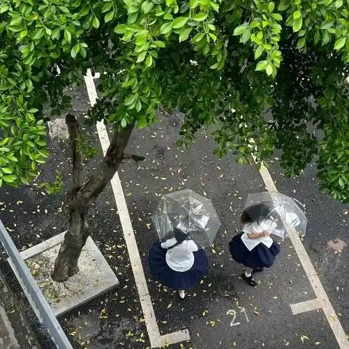 背景图 | 高级感ins聊天背景图