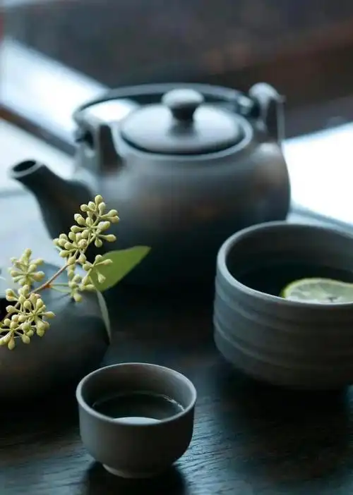 是有灵气的,它们一卷一舒,蓄势跃动,把历经的磨难都化成了清香与意境