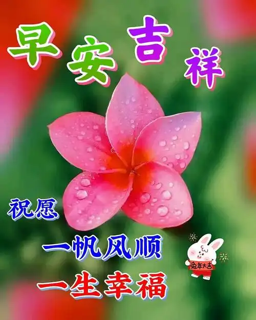 6月26日早上好每日问候