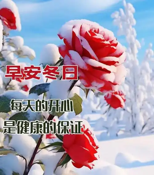 2023年11月10日周五早上好冬日温馨早安祝福图片暖心的冬日问候祝福语