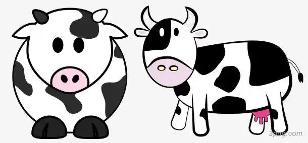 两只奶牛png素材透明免抠图片-卡通手绘