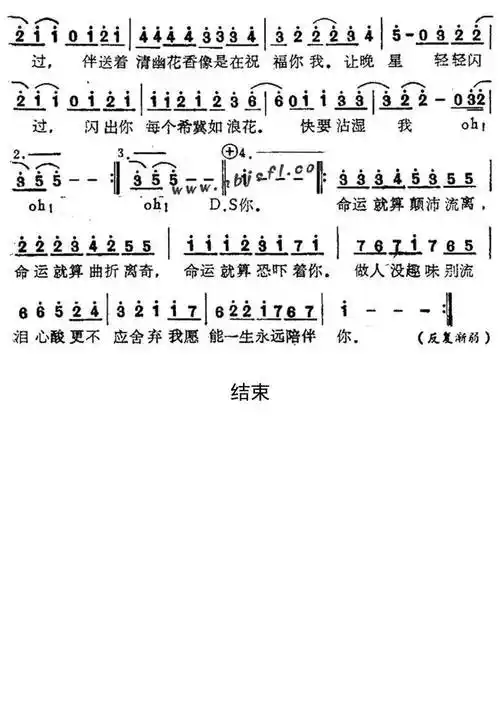 红日简谱歌谱乐谱