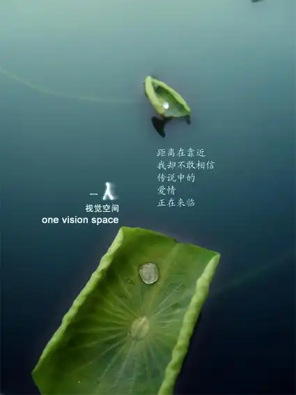 这几天又比较忙.身体上的累.我已经习惯了.就是精神上和心里的累.