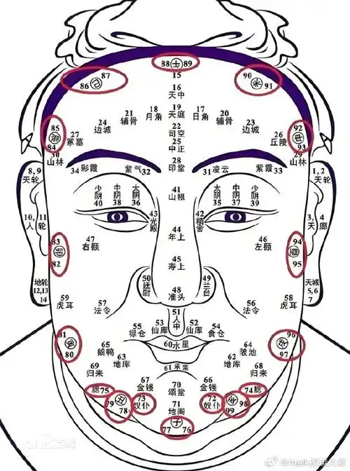 大叔说:浅论面相的福德宫