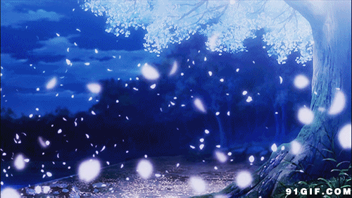 500_281gif 动态图 动图