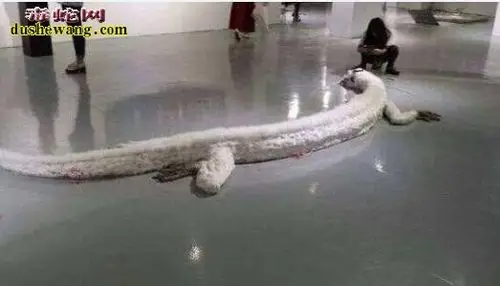 昆仑山冰封的真龙世上真的有真龙吗