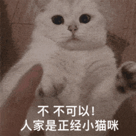 更新超好玩的猫猫狗狗表情包～小可爱们还没有关注公众号的可以关注下