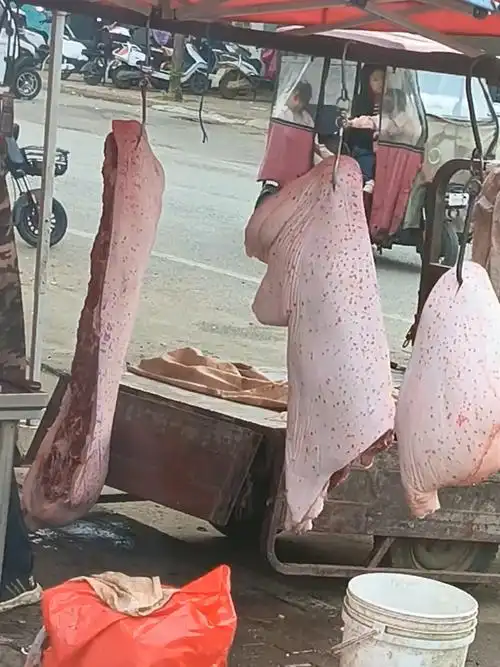 这种猪肉是什么情况?肉皮上布满红色斑点,网友:看着怪恶心的