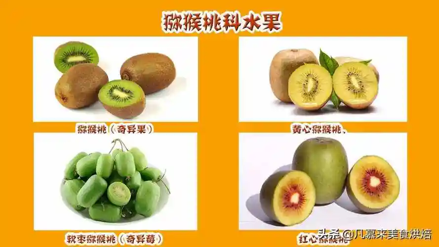 水果有什么1种水果名称大全