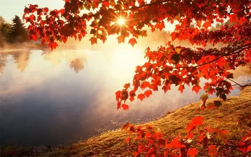 唯美意境自然风光初秋森林的阳光桌面壁纸(二)