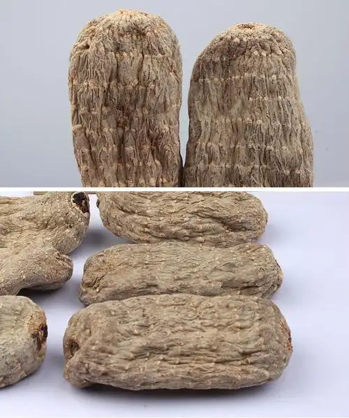 传统滋补 养生茶饮 天麻 元若春 大乌天麻500g自然