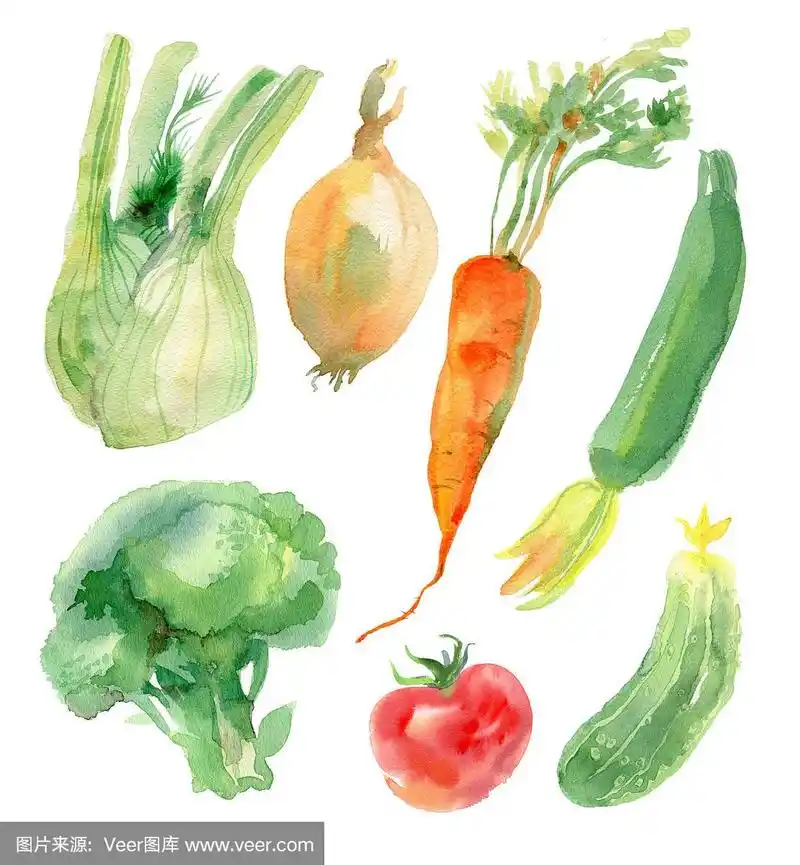 水彩蔬菜设置
