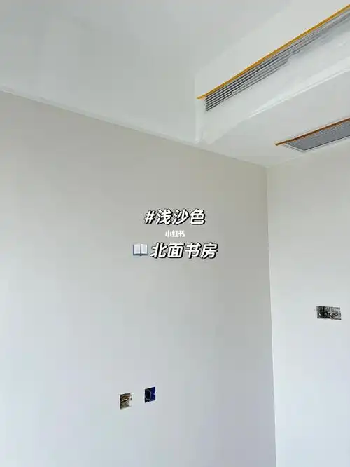 🏠装修日记#4|多乐士浅滩银珠🆚浅沙色