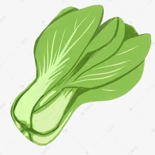 手绘青菜免扣psd文件一颗