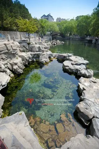 从高处俯看,泉水汇集处就像一块块透亮的碧玉,镶嵌在大地之上. 白石泉