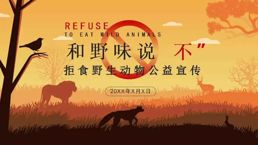 简约风保护野生动物宣传教育精品教育课件ppt模板pptx18页