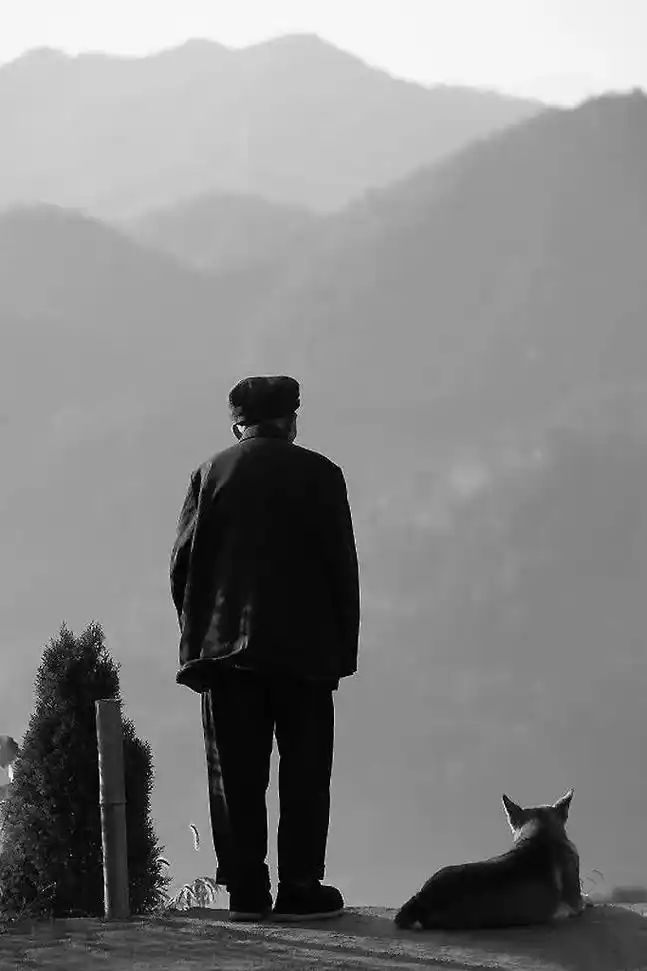 晚年的亲情,比想象中来的更残酷