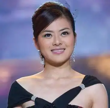 陈辰个人资料现任丈夫程雷和陈辰为何分手