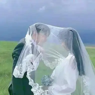 婚纱系列情头高清唯美超火的婚纱头像情侣专用图片