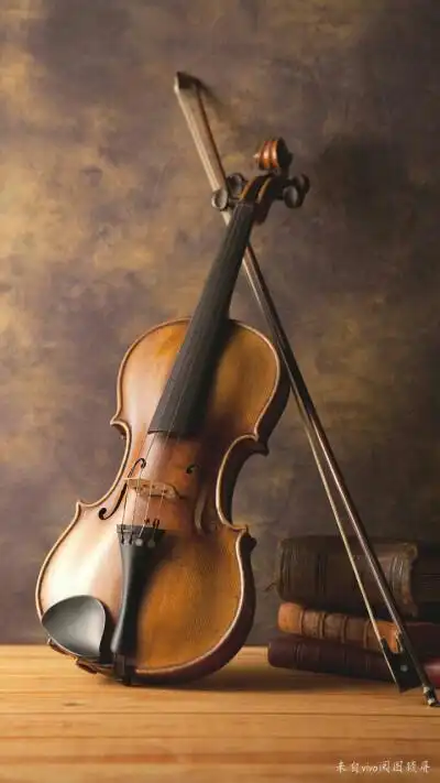 小提琴,壁纸