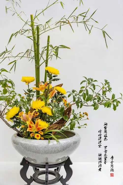 插花——菊花艺术