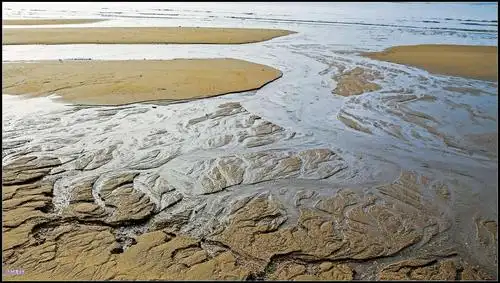 海边滩涂亦如画