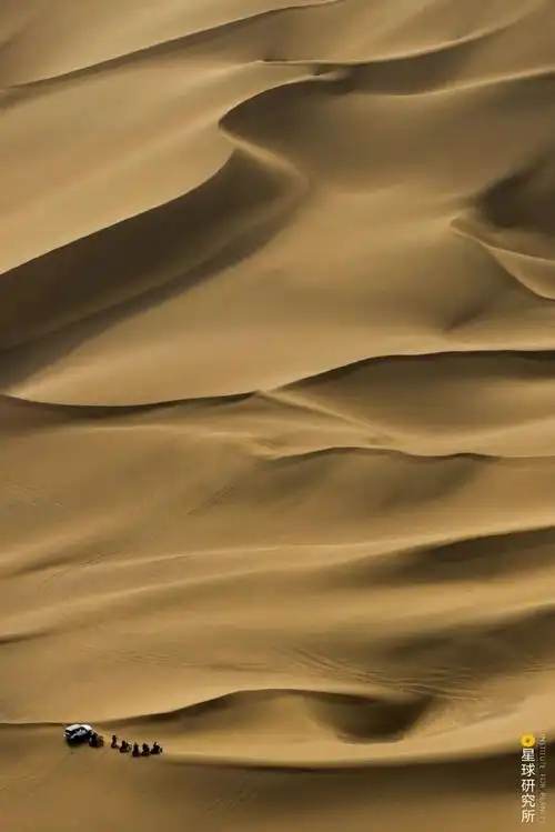 700_1049竖版 竖屏