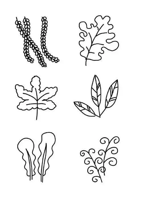花草植物简笔画儿童手绘简笔画手绘手帐插画植物花的简单画法花草简笔