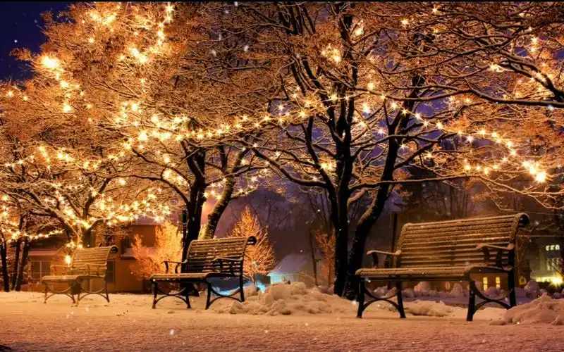 无水印风景素材|唯美的秋季,日落与氛围「bgm:beyond the sundial」