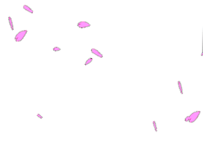 求助,帮我把动态飘落的花瓣gif图的背景改成透明的