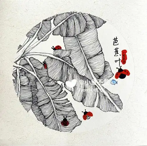 89岁图片写生芭蕉叶植物第一课