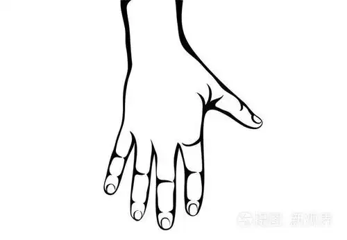左手背.轮廓.那台向量.手掌向下插画-正版商用图片0yy9js-摄图新视界