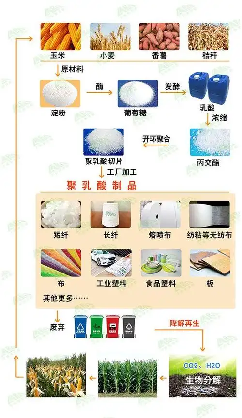 将乳酸制备成环状二聚体丙交酯,再将丙交酯开环聚合生产聚乳酸,不以