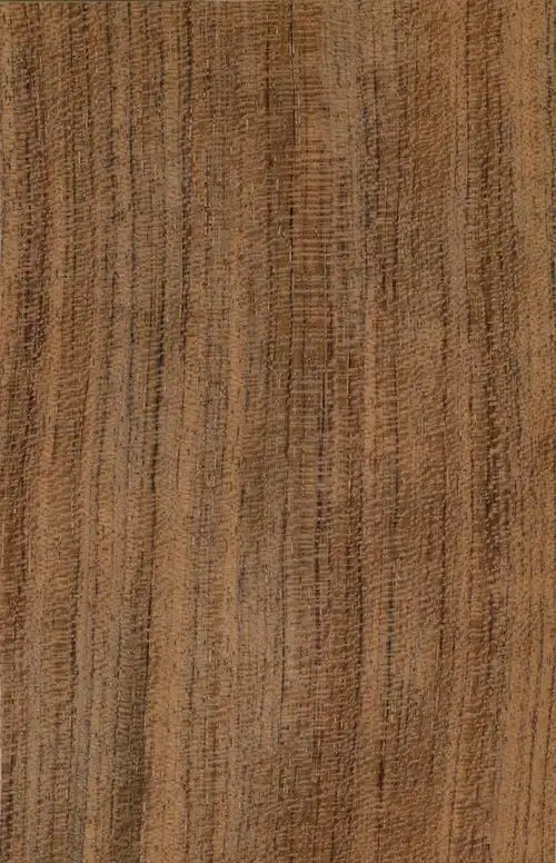 关键词:木纹材质木纹贴图木头木地板3d贴图木材质木材地板木纹素材树