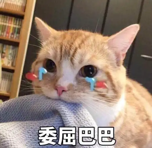 萌宠猫星人委屈巴巴哭了呆萌可爱gif动图_动态图_表情包下载_soogif