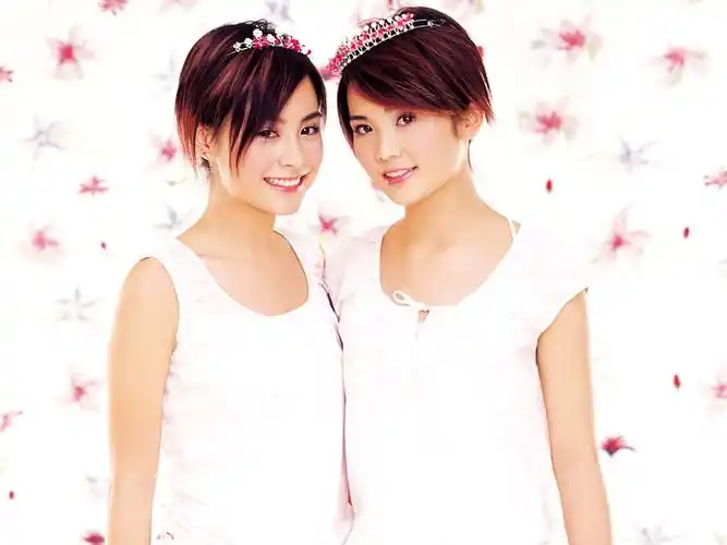 twins壁纸桌面图片-1024x768.110k.高清大图-明星写真馆n63.com