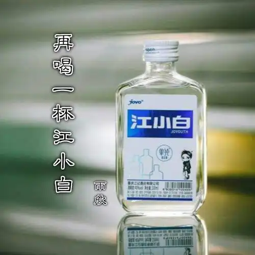 雨欣再喝一杯江小白伴奏