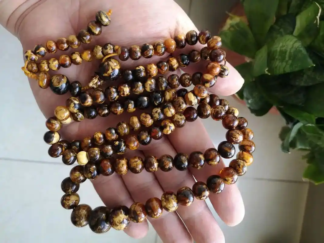 阳过聊琥珀末篇典雅高贵的抚顺花珀