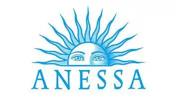 anessa安耐晒 防水防晒乳敏感肌用 浅金色spf50 60ml 两件装 保税区邮