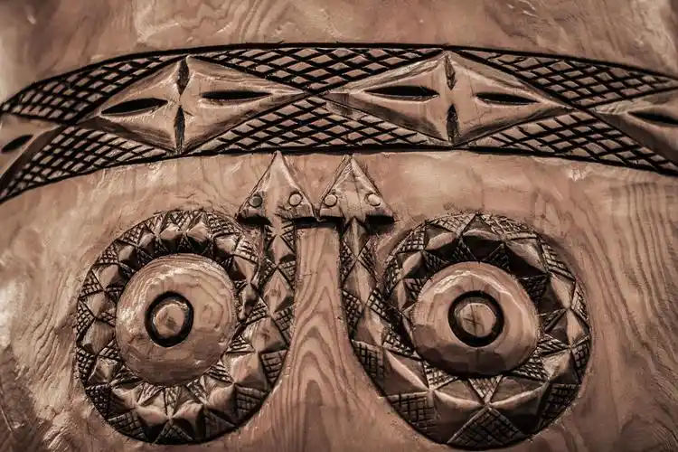 蛇的仿生学应用