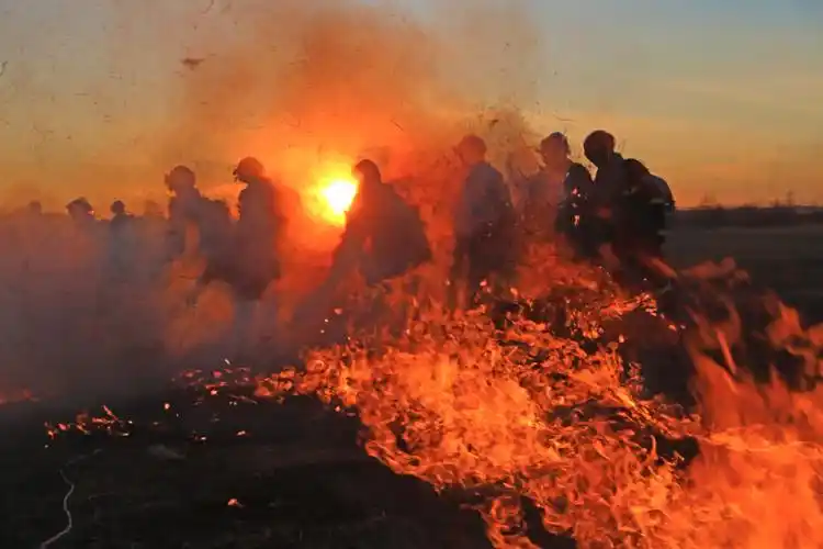 这些日子他们追逐着梦中的火焰蓝