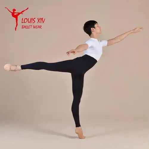 louisxiv芭蕾男生成人专业练功连体高领短袖芭蕾舞服