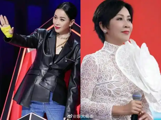 刘嘉玲撞脸那英