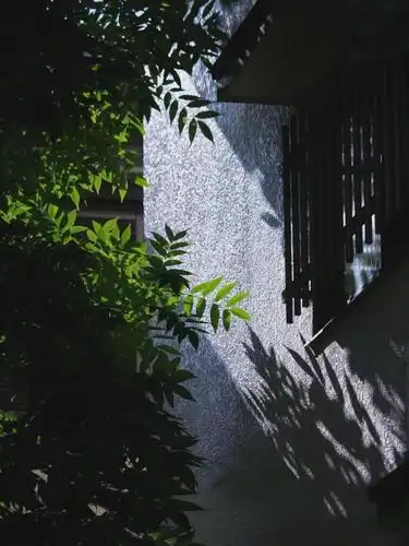 李亮亮  拍摄器材:小米10   下面这张光影效果也非常棒,要是暗部再