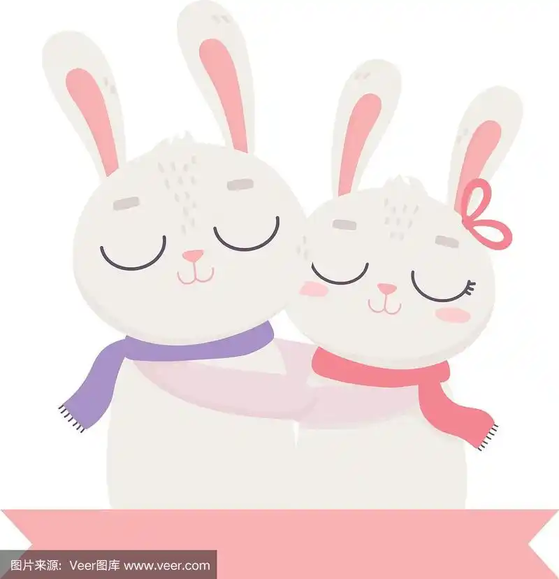 情人节快乐,可爱的兔子夫妇拥抱